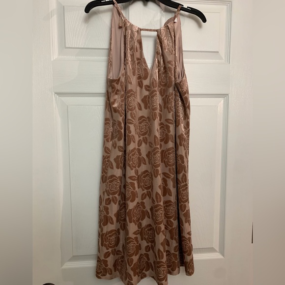 CHAMPAGNE ROSE A-LINE DRESS WITH RAISED VELOUR FLORAL PRINT - Picture 1 of 3